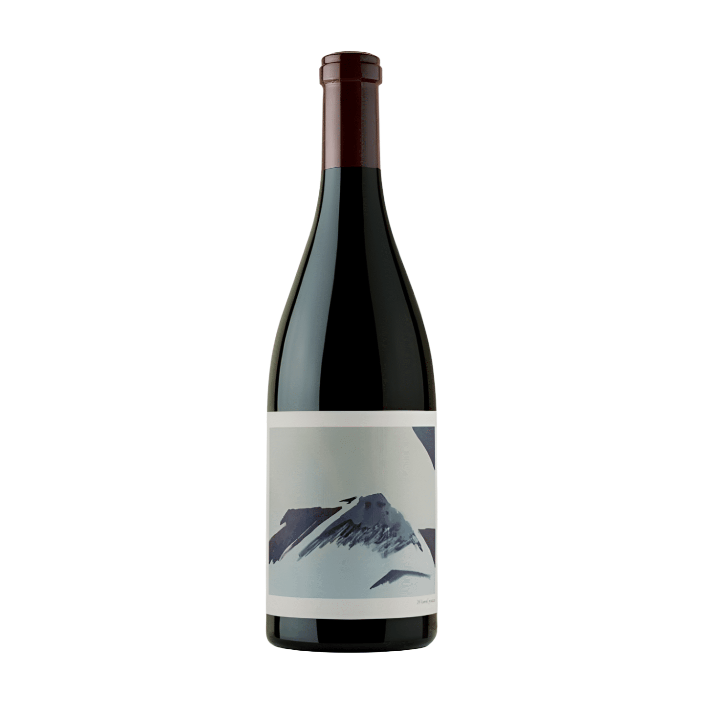 Chanin Wine Company Sanford & Benedict Vineyard Pinot Noir 2015 75CL