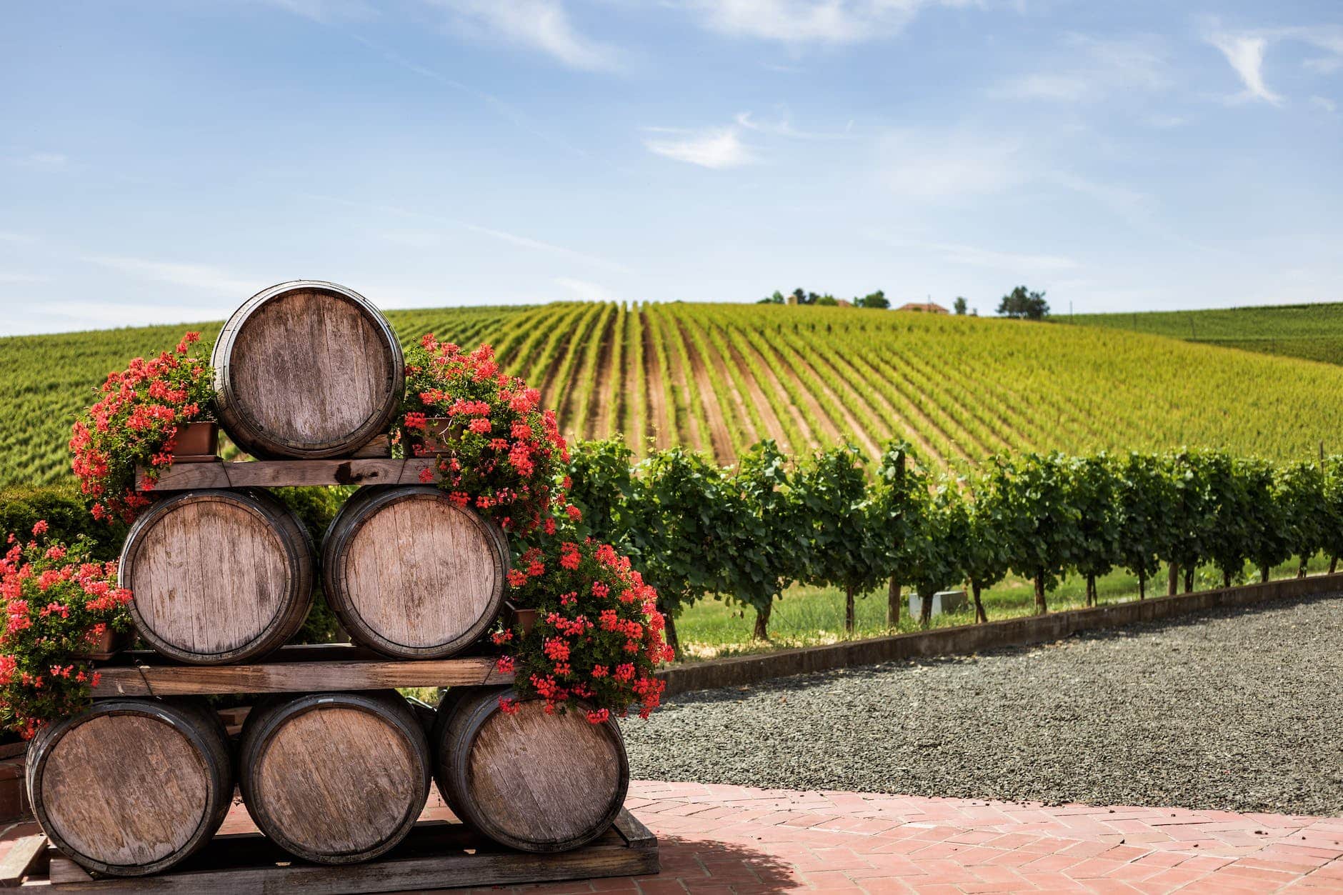 a stack of wine barrels and a landscape of a vineyard